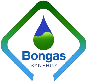 Bongas Global Synergy Limited